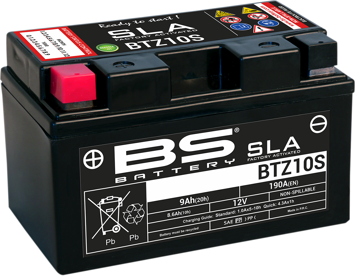 BS BATTERY SLA Factory- Activated AGM Maintenance-Free Battery