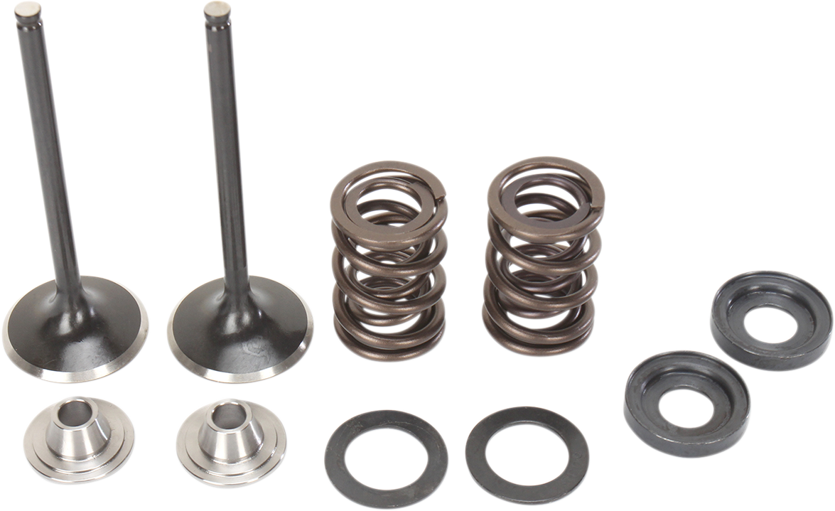 Stainless Exhaust Valve and Spring Kit