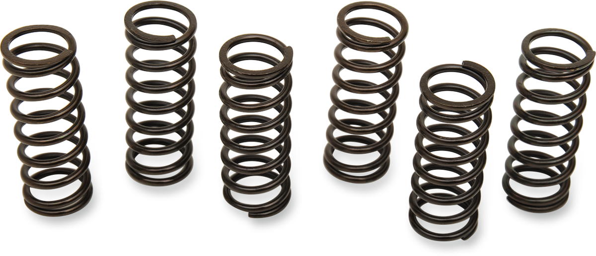 Clutch Spring Kit