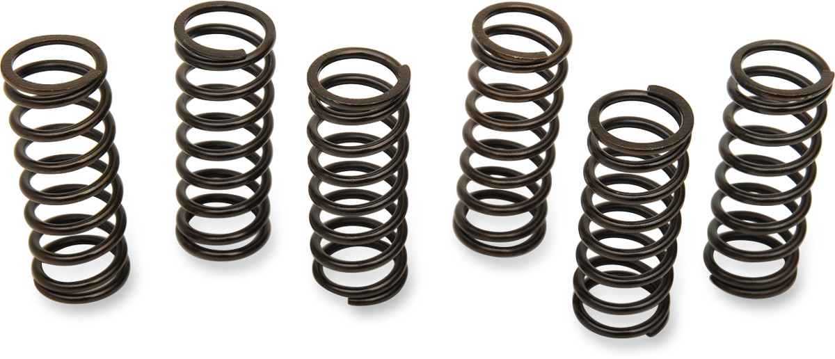 BARNETT Clutch Spring Kit