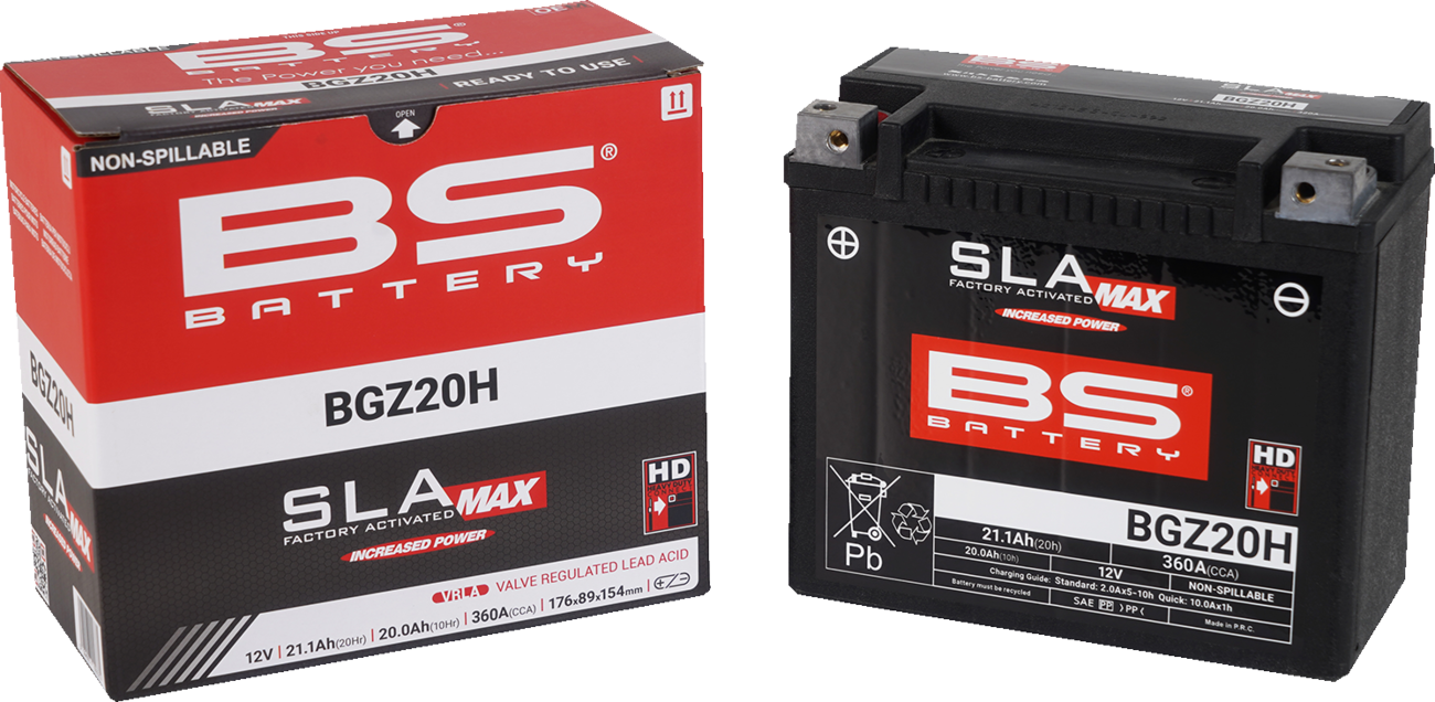 BS BATTERY SLA MAX Factory- Activated AGM Maintenance-Free Battery