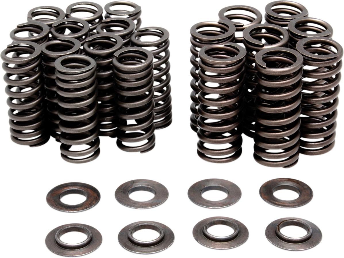 KIBBLEWHITE Valve Spring Kit