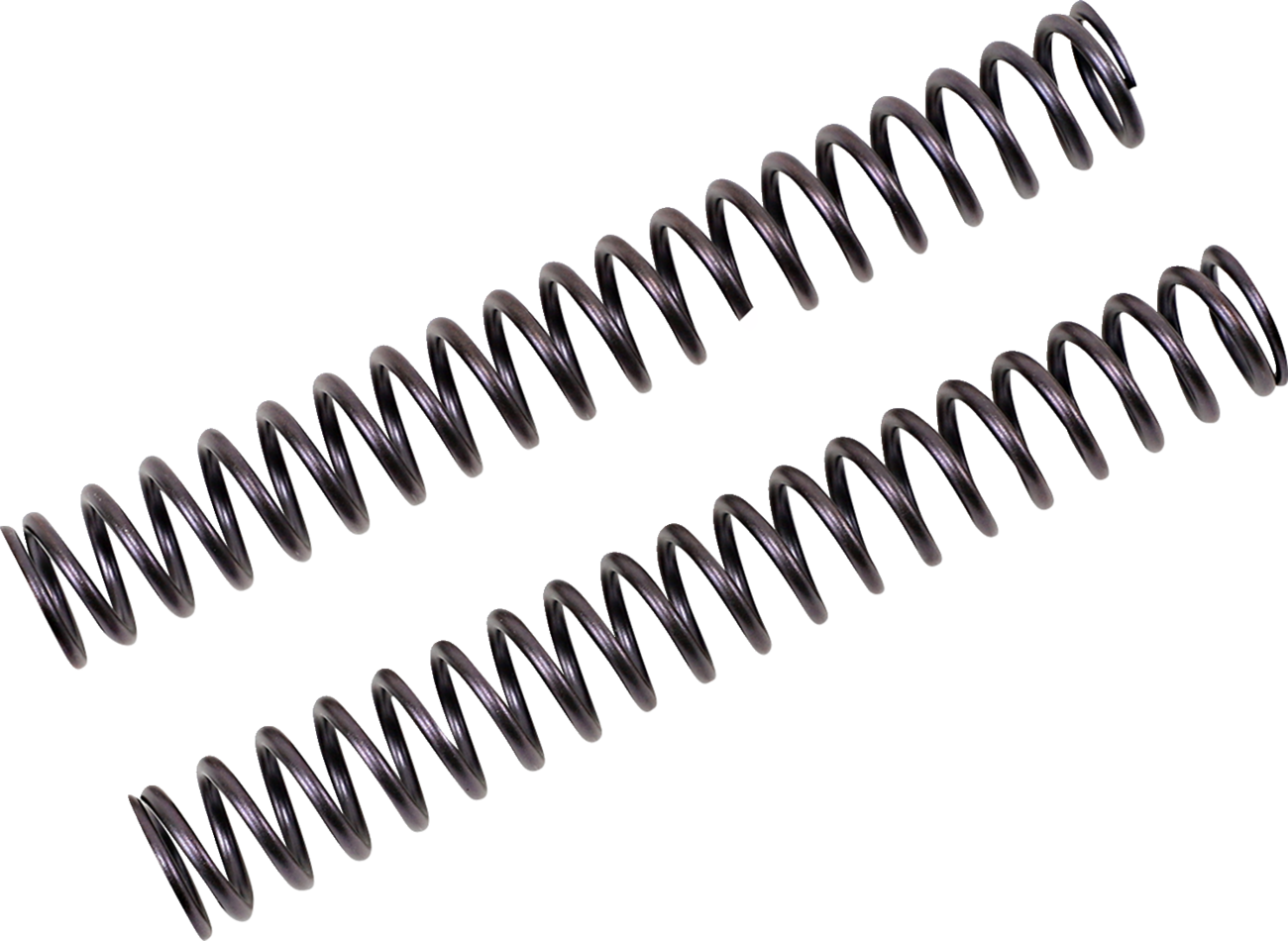 Fork Springs for FGK Cartridge Kit
