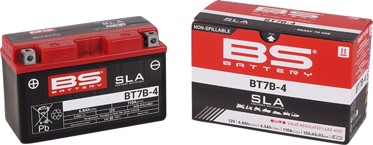 BS BATTERY SLA Factory- Activated AGM Maintenance-Free Battery