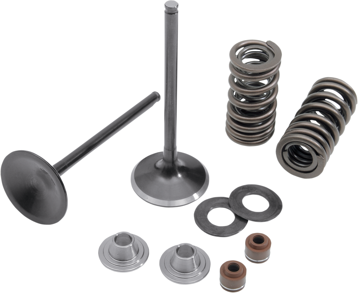 KIBBLEWHITE Intake Stainless Conversion Valve and Spring Kit
