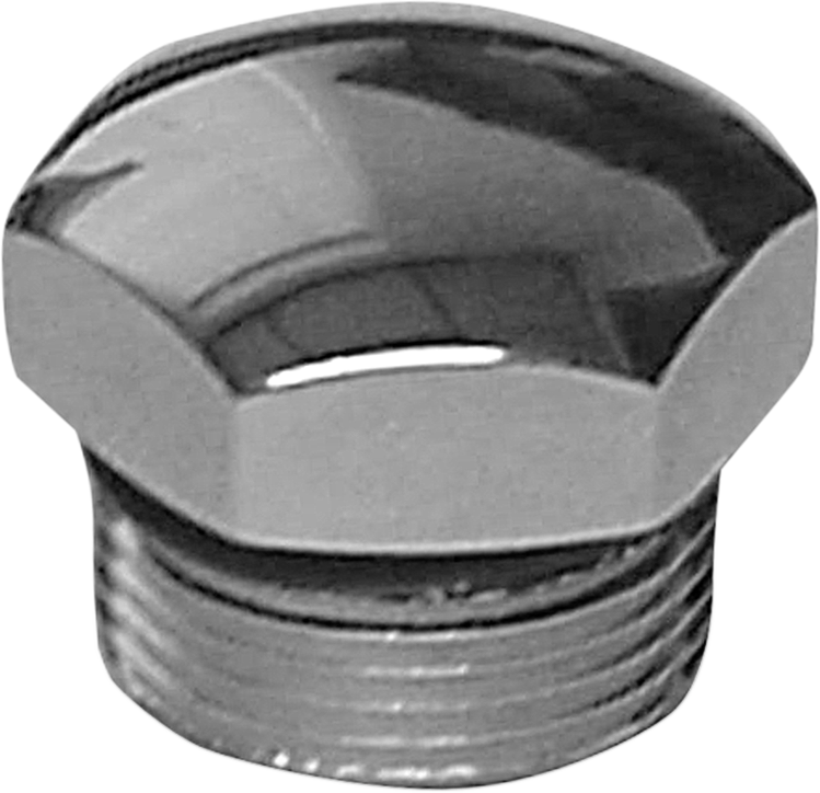 Transmission Plug