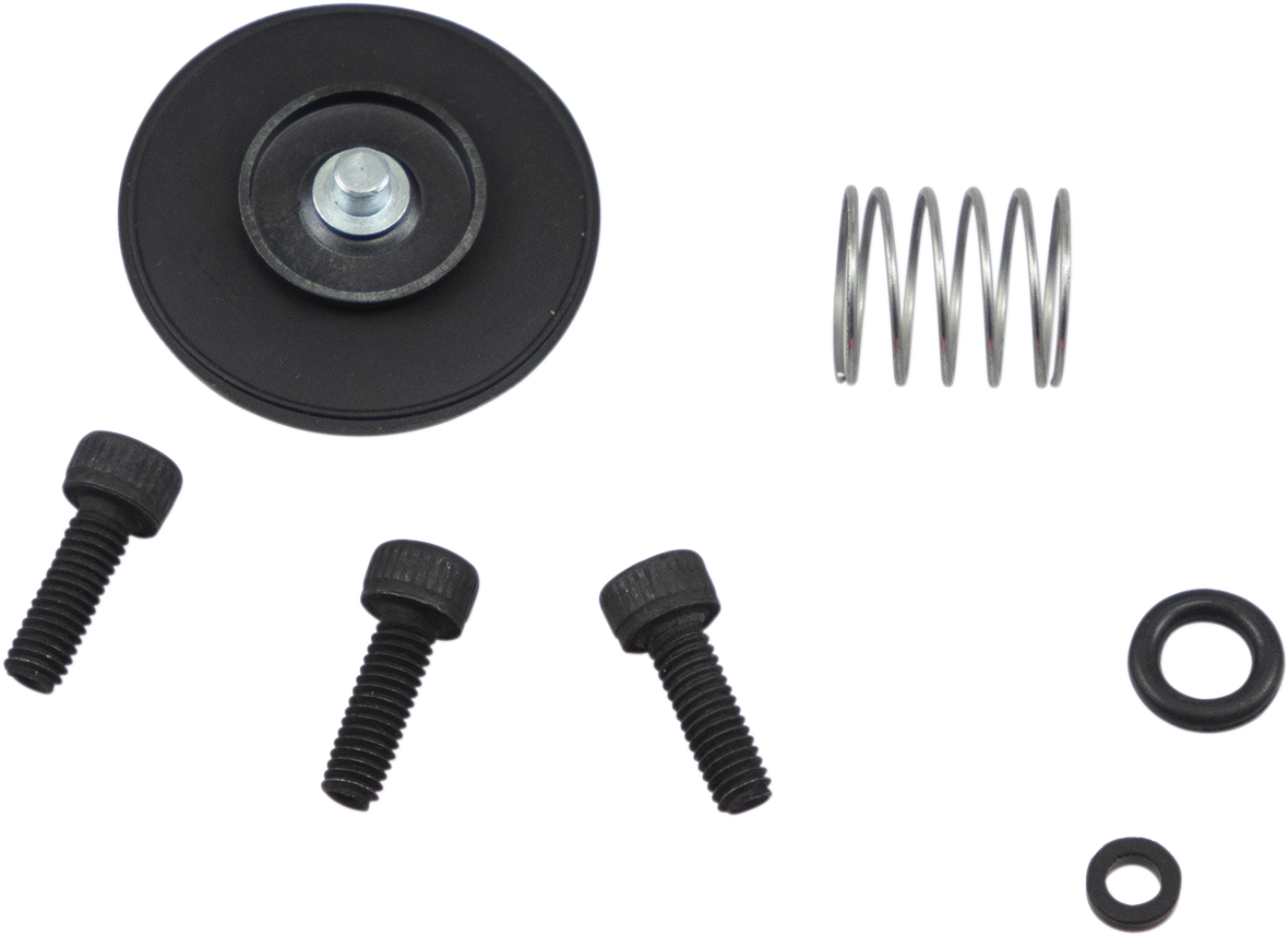 Accelerator Pump Rebuild Kit