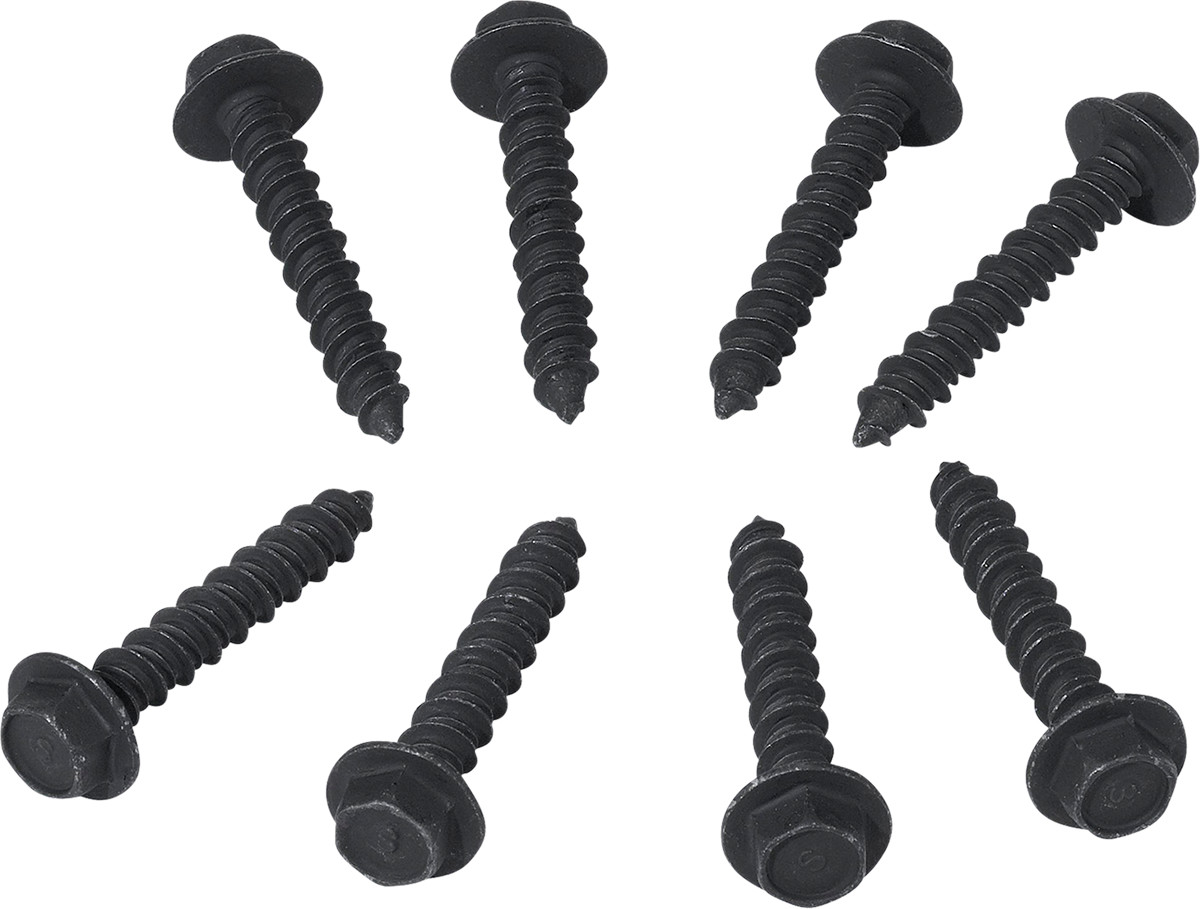 Moose Racing Clutch Cover Screw