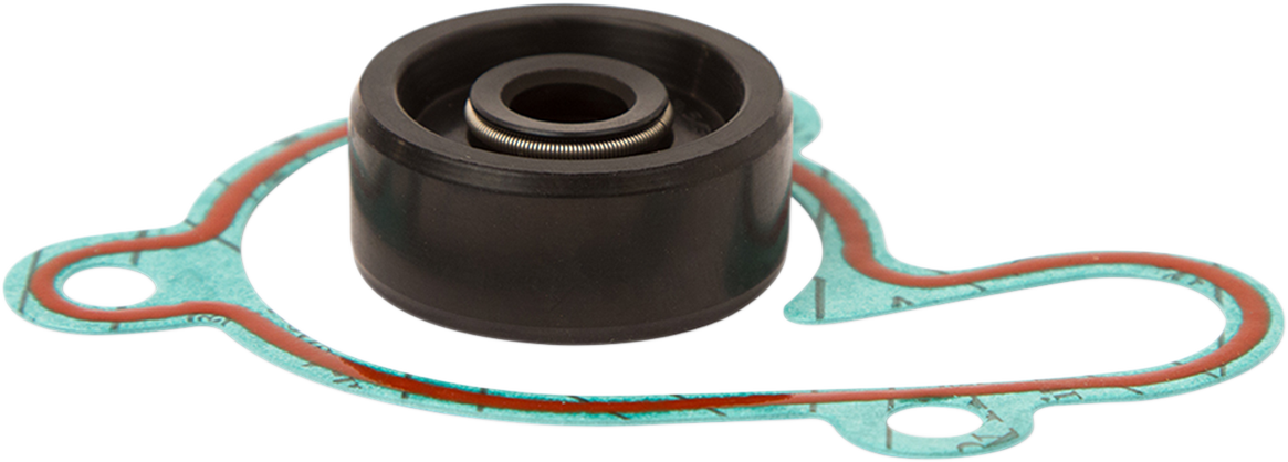 Water Pump Repair Kit