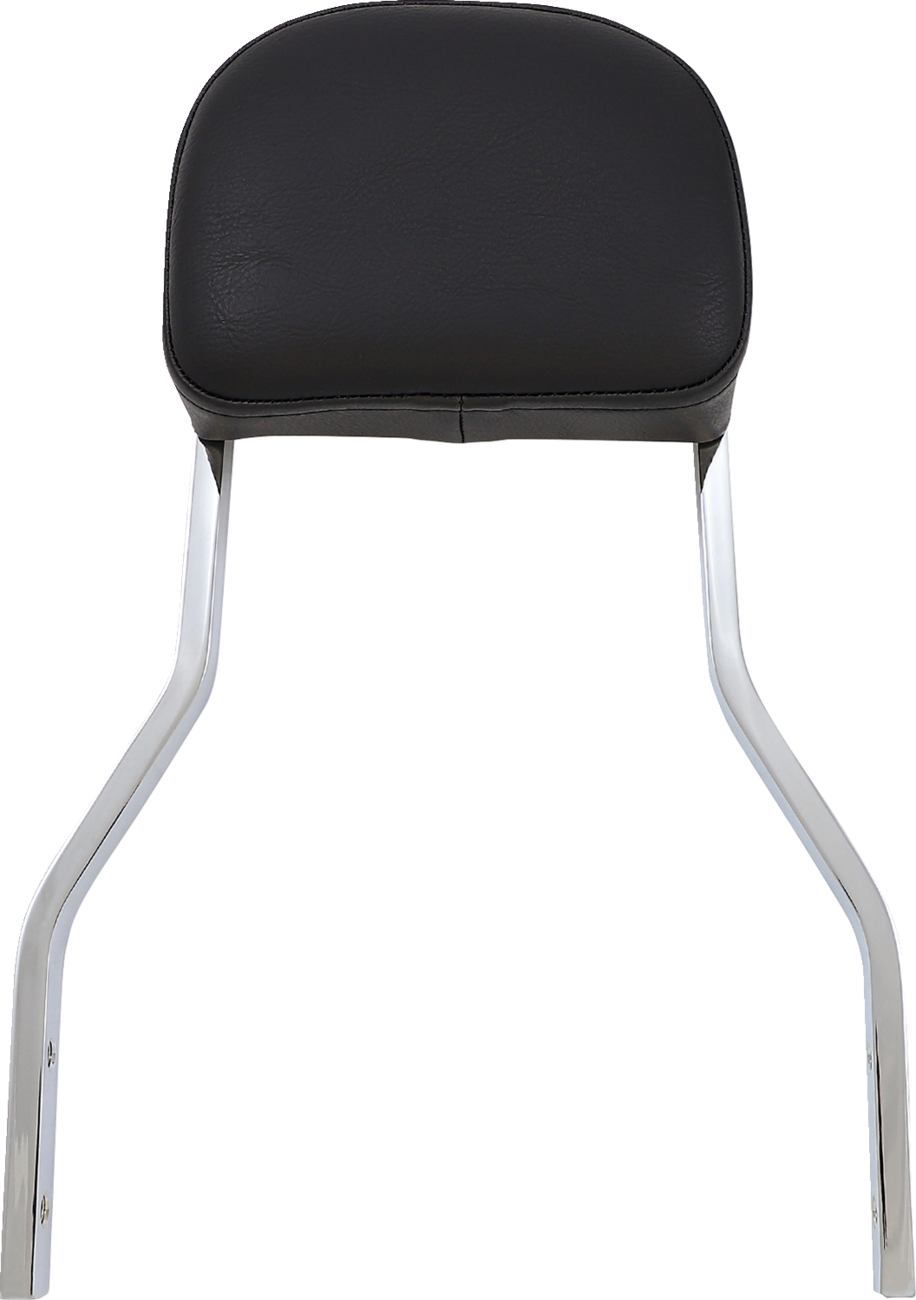 COBRA Detachable Backrest Kit