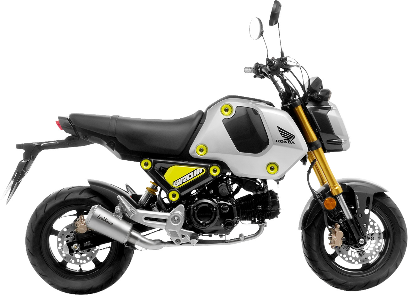 LEOVINCE LV-10 Exhaust System