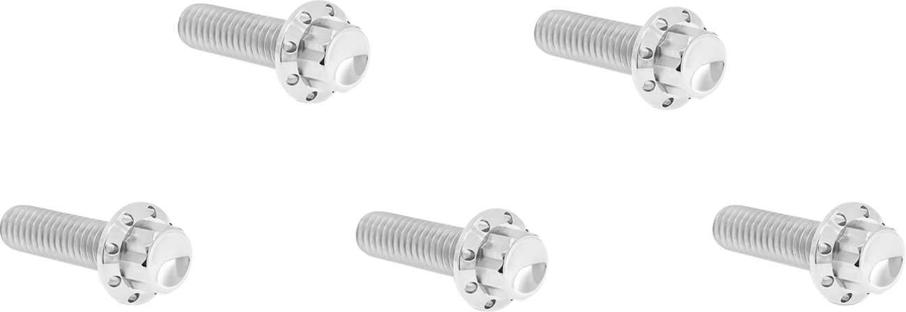 ARLEN NESS Derby Cover 12-Point Titanium Bolt Kit