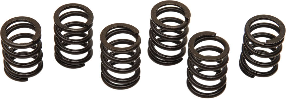 Clutch Spring Kit