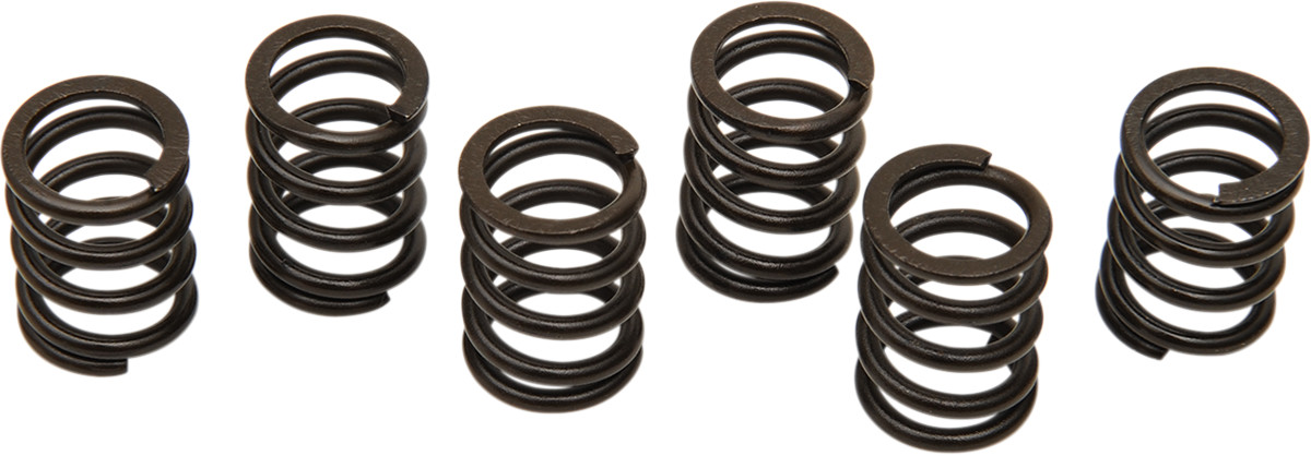 Clutch Spring Kit