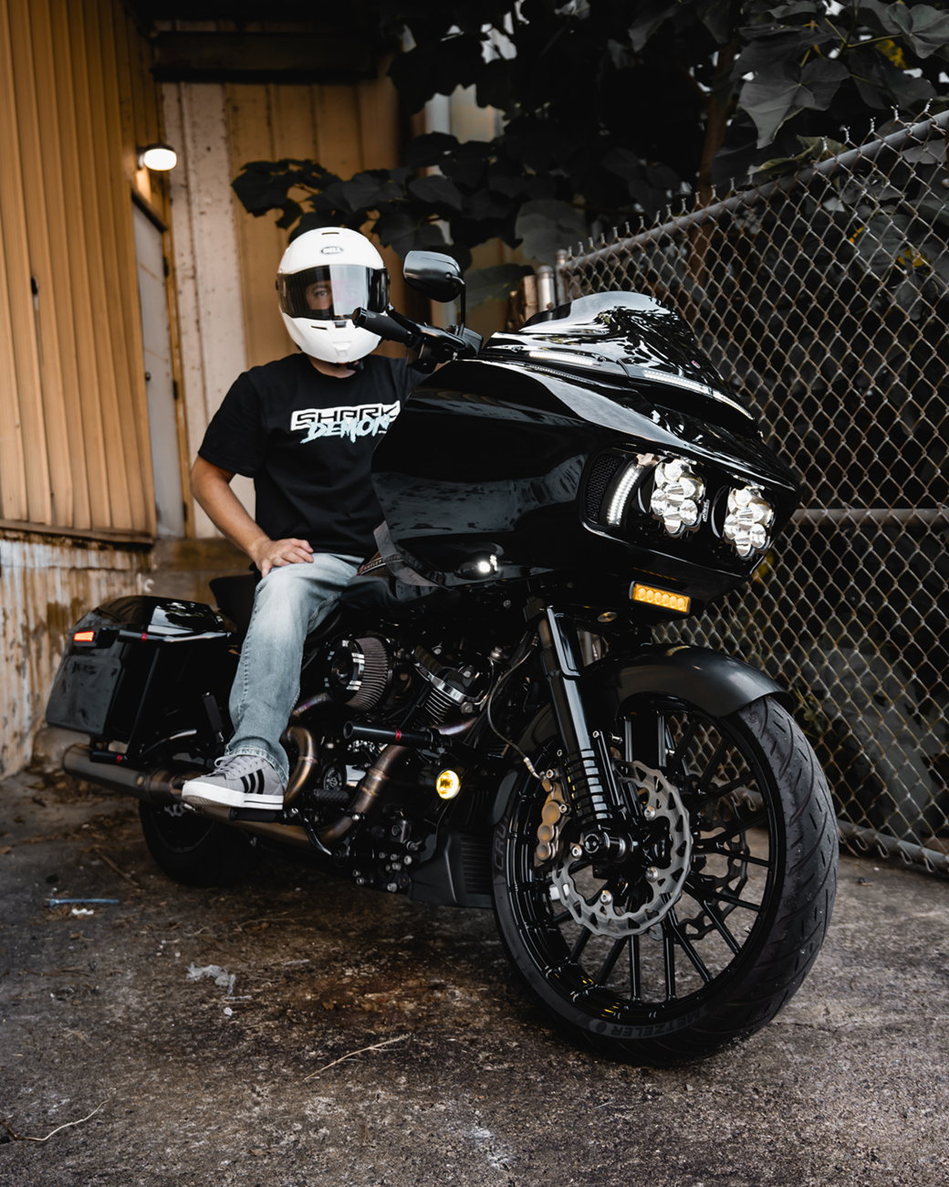CUSTOM DYNAMICS Shark Demon® 2 Performance Headlight Kit