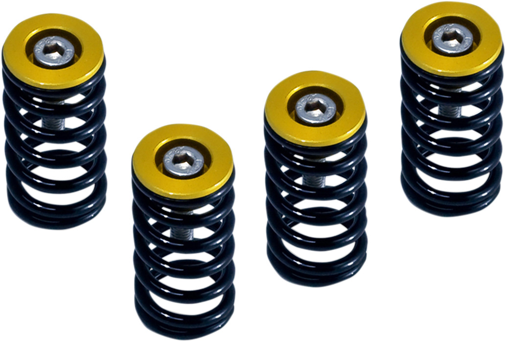 Clutch Spring Kit