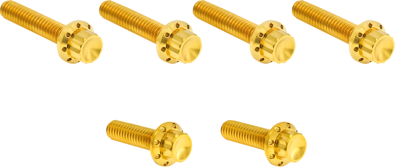 ARLEN NESS Transmission Side Cover Titanium 12-Point Bolt Kit