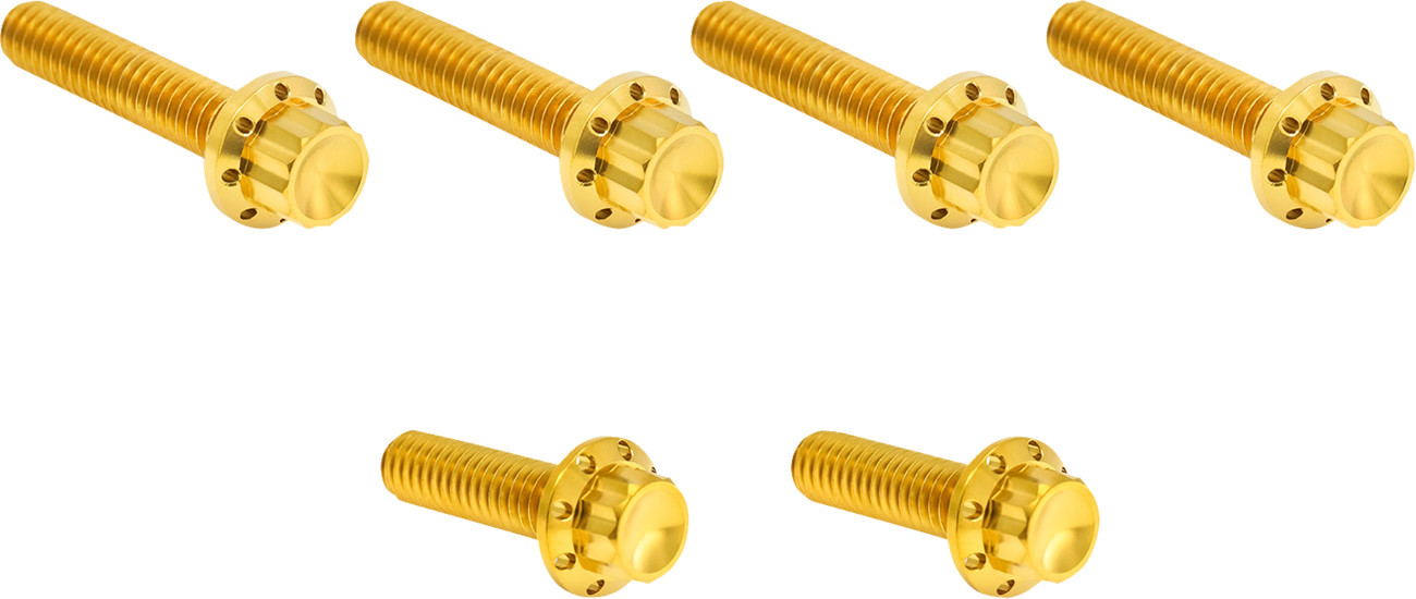 Arlen Ness 12-Point Titanium Transmission Side Cover Bolt Kit For Harley Cable Clutch 2006-2026