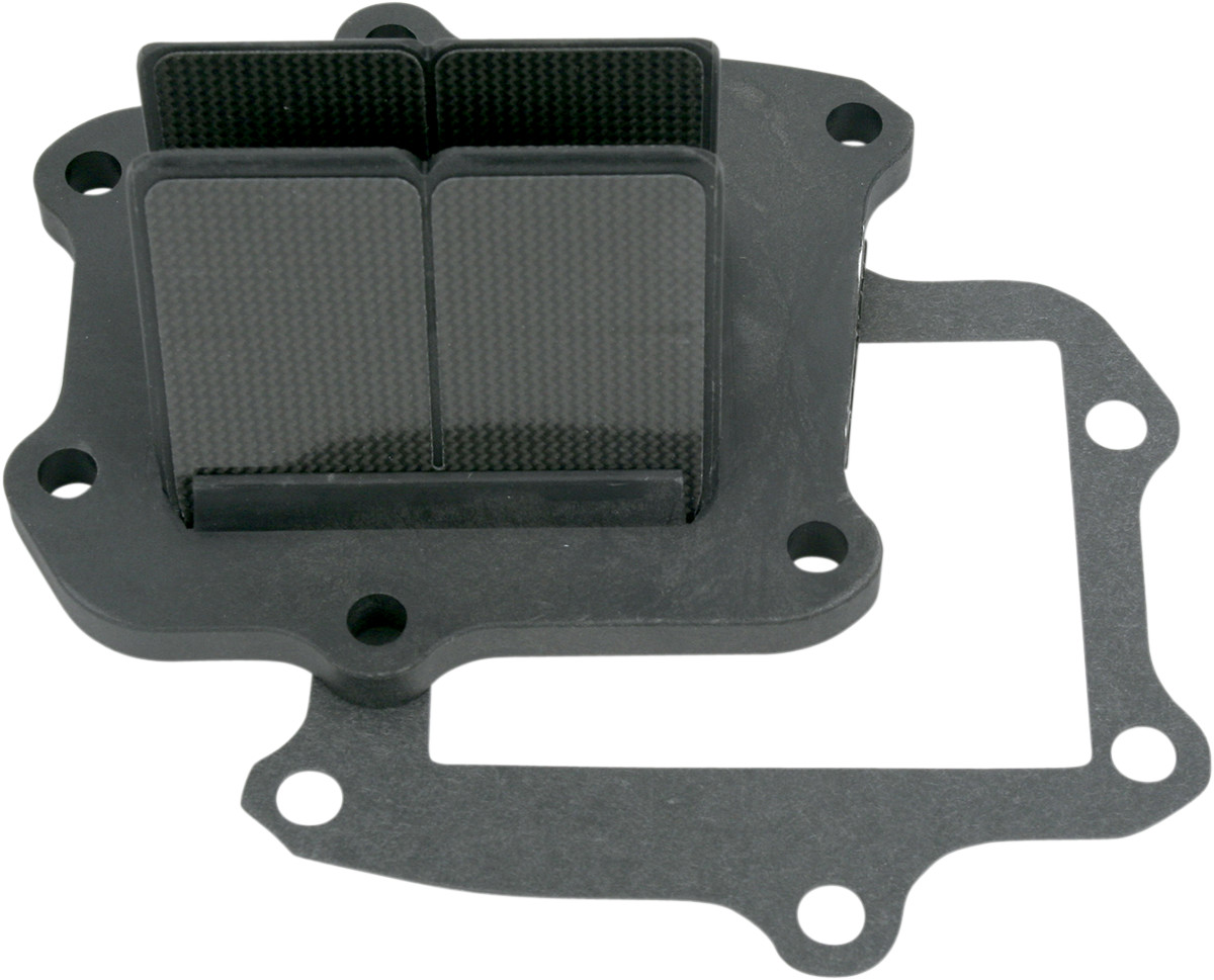 VFORCE/MOTO TASSINARI V-Force 3 Reed Valve Set