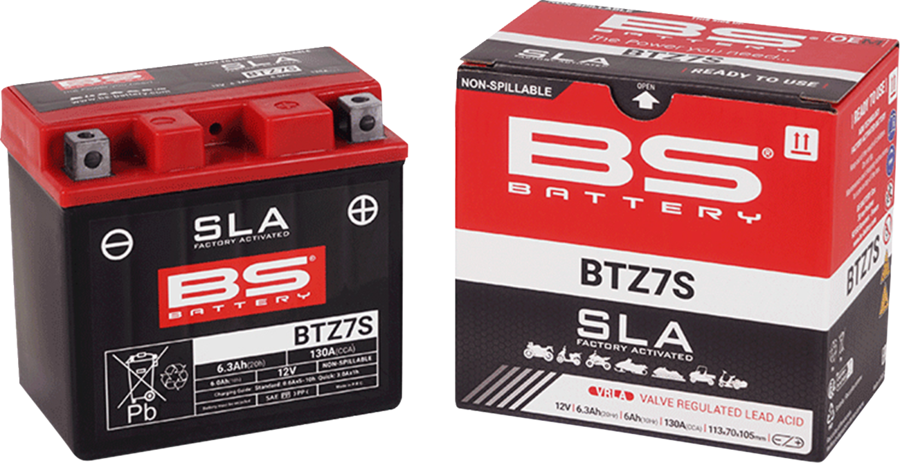 BS BATTERY SLA Factory- Activated AGM Maintenance-Free Battery