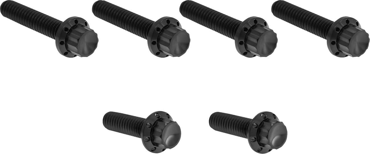 ARLEN NESS Transmission Side Cover Titanium 12-Point Bolt Kit