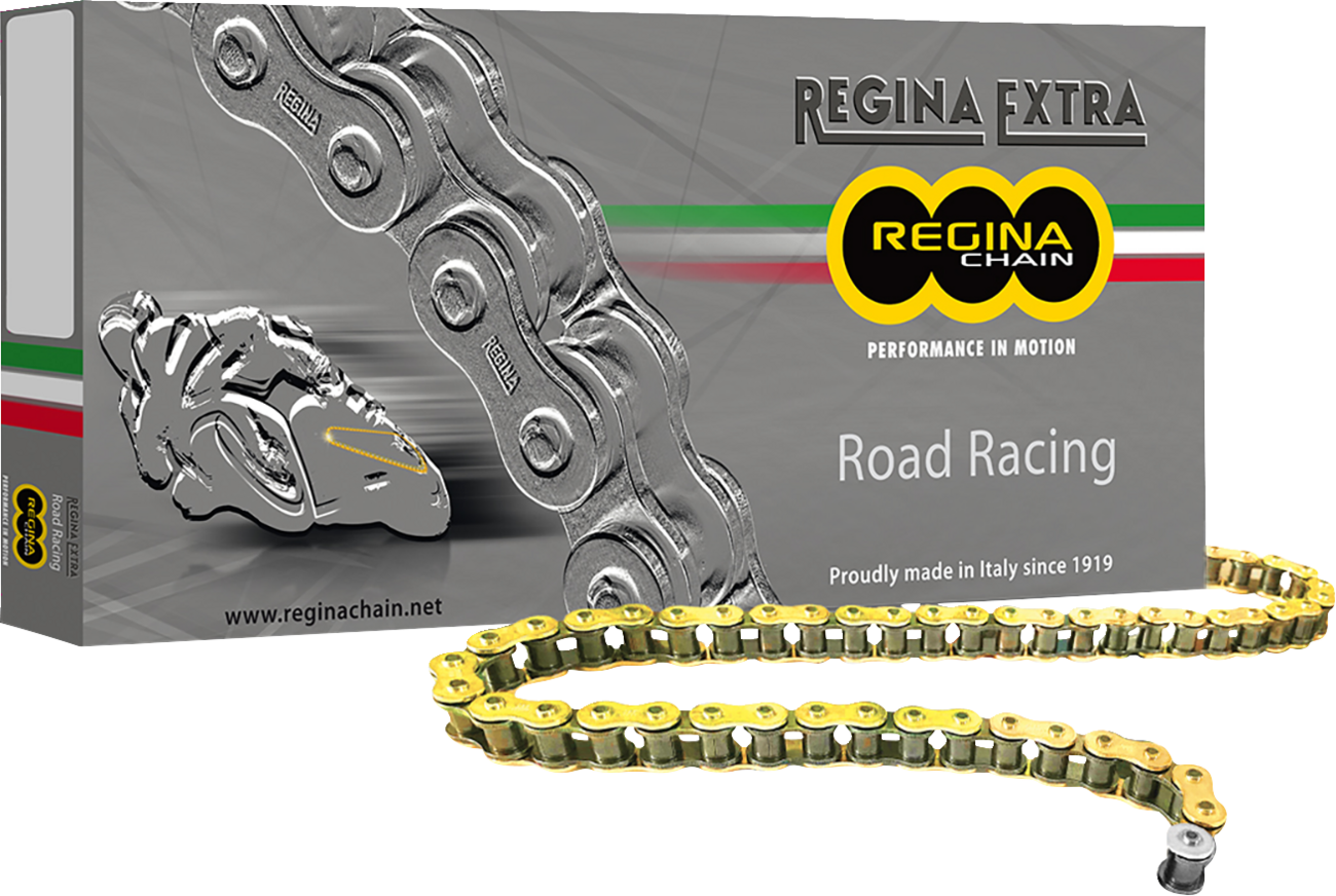 Regina 520 GPZ Series - Chain - 120 Links