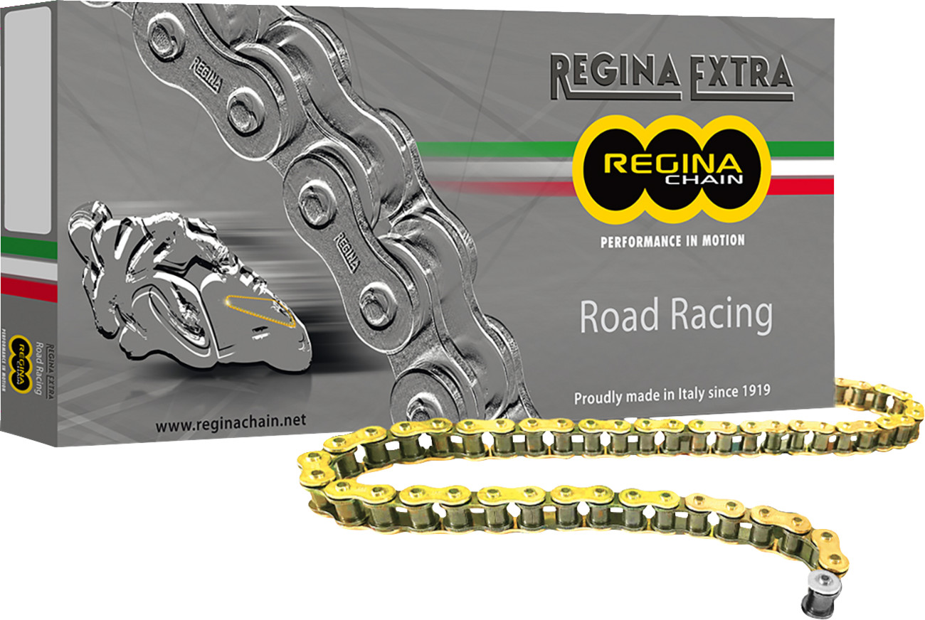REGINA 520 GPZ Series Chain