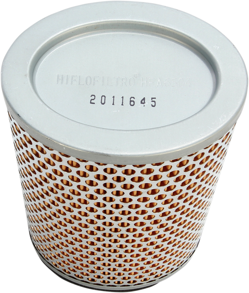 HiFloFiltro Air Filter HFA6504