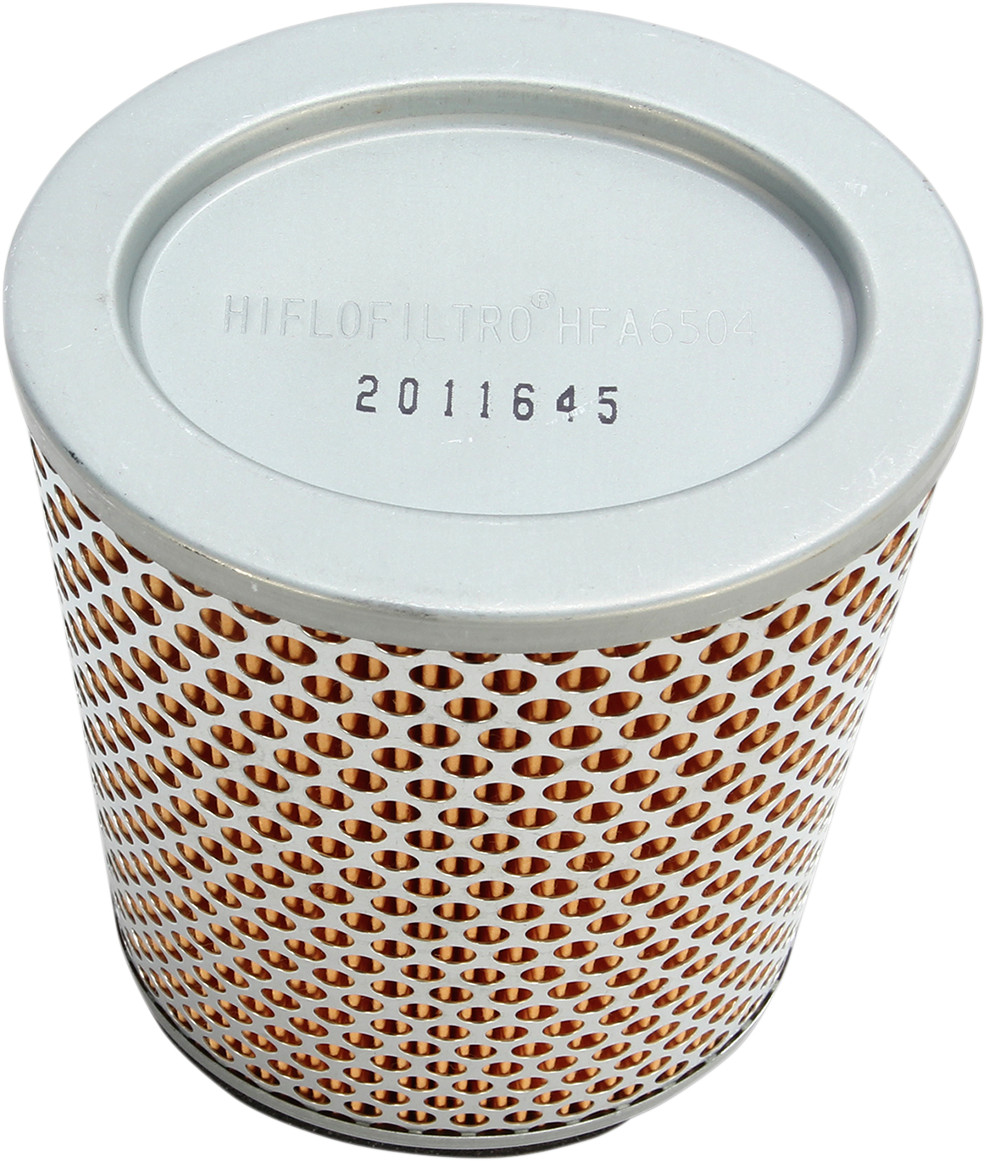 HIFLOFILTRO Air Filter
