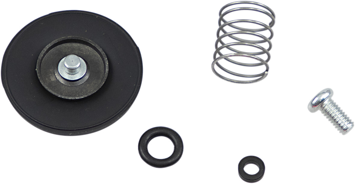 Accelerator Pump Rebuild Kit