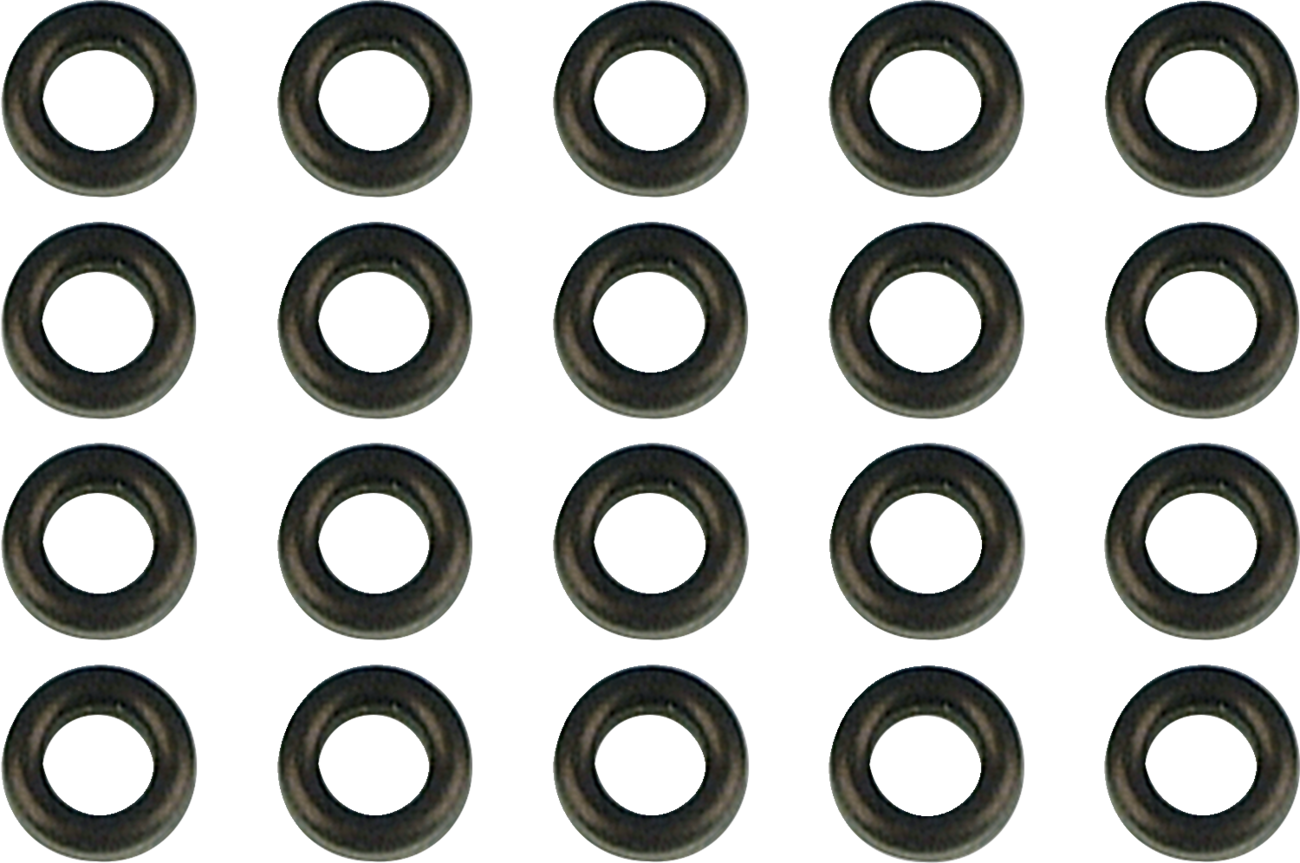 Accelerator Pump O-Ring