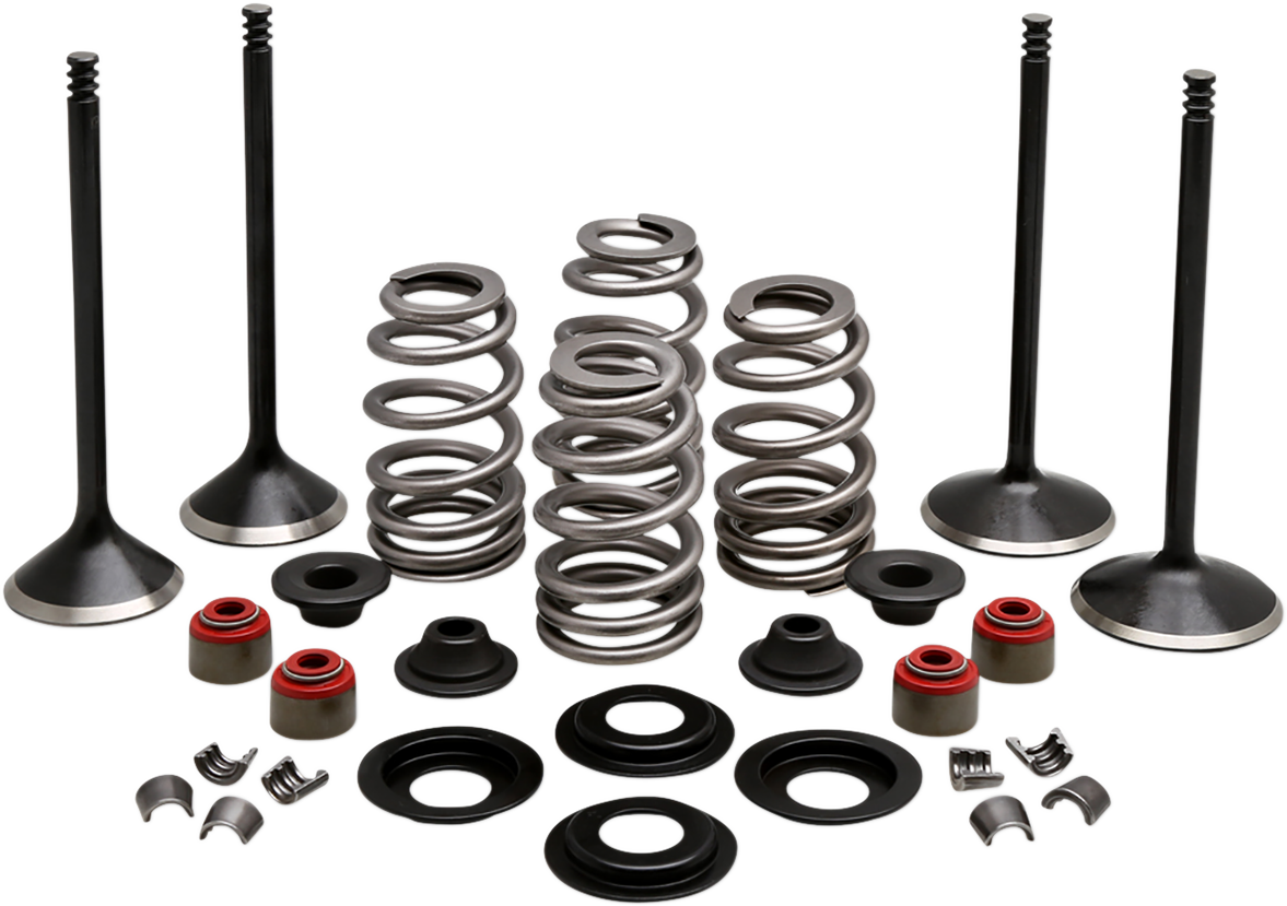 KIBBLEWHITE Engine Valve Kit