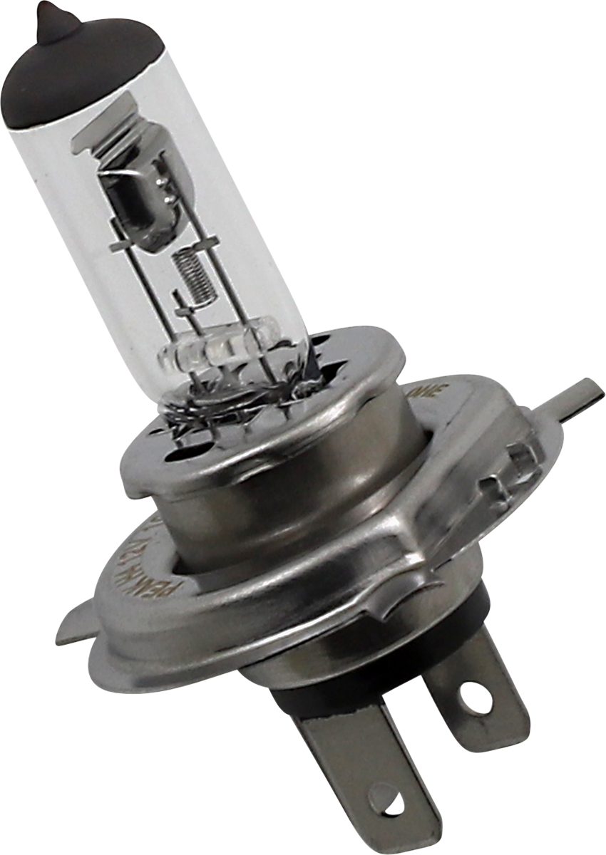 Halogen Bulb
