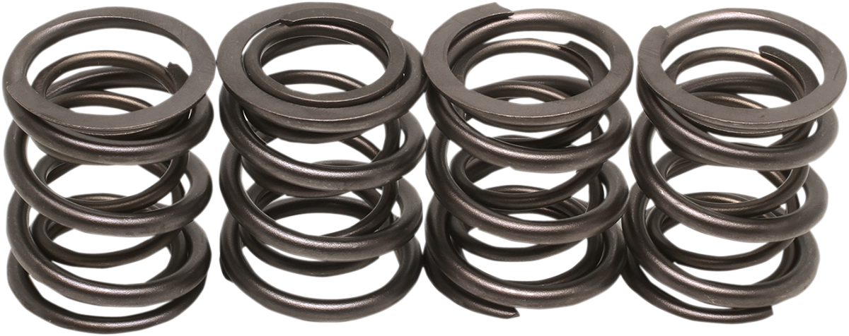 Valve Spring Kit