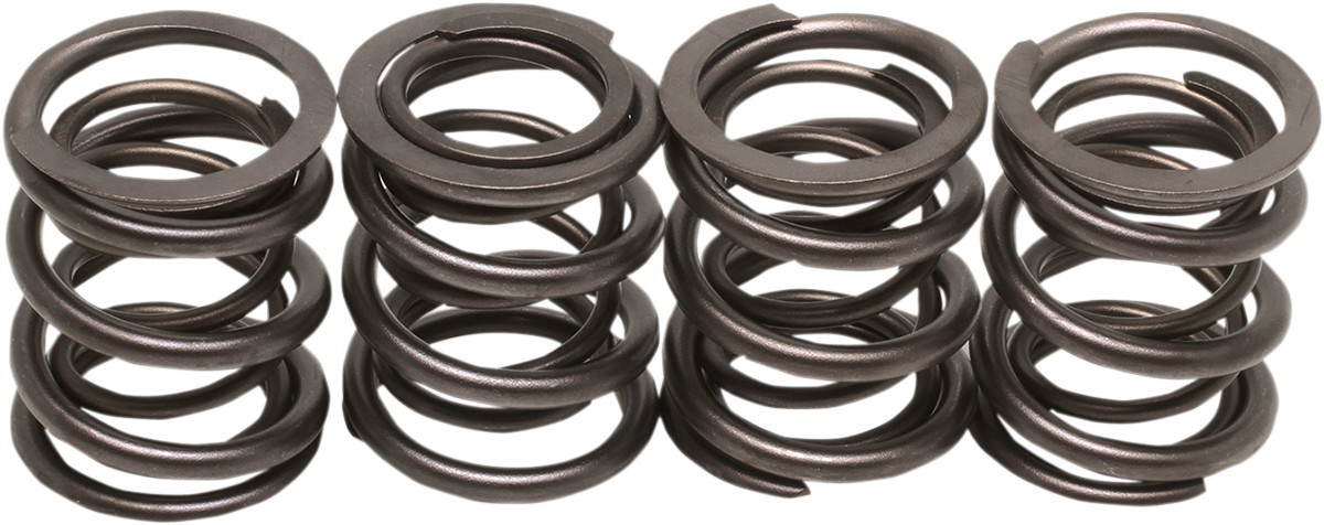 KIBBLEWHITE Valve Spring Kit