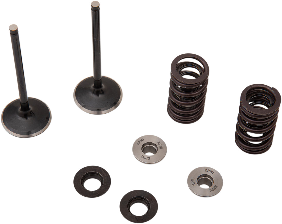 Stainless Intake Valve and Spring Kit