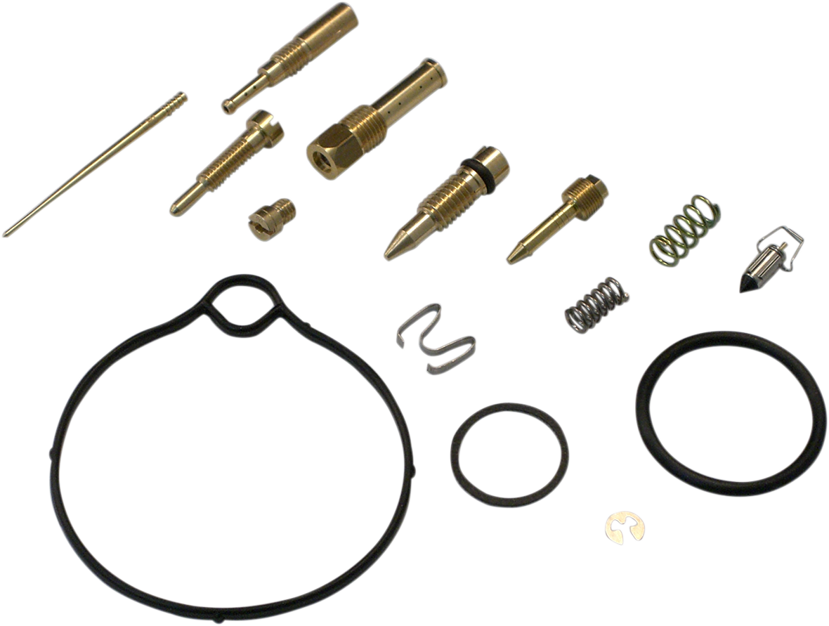 Carburetor Repair Kit