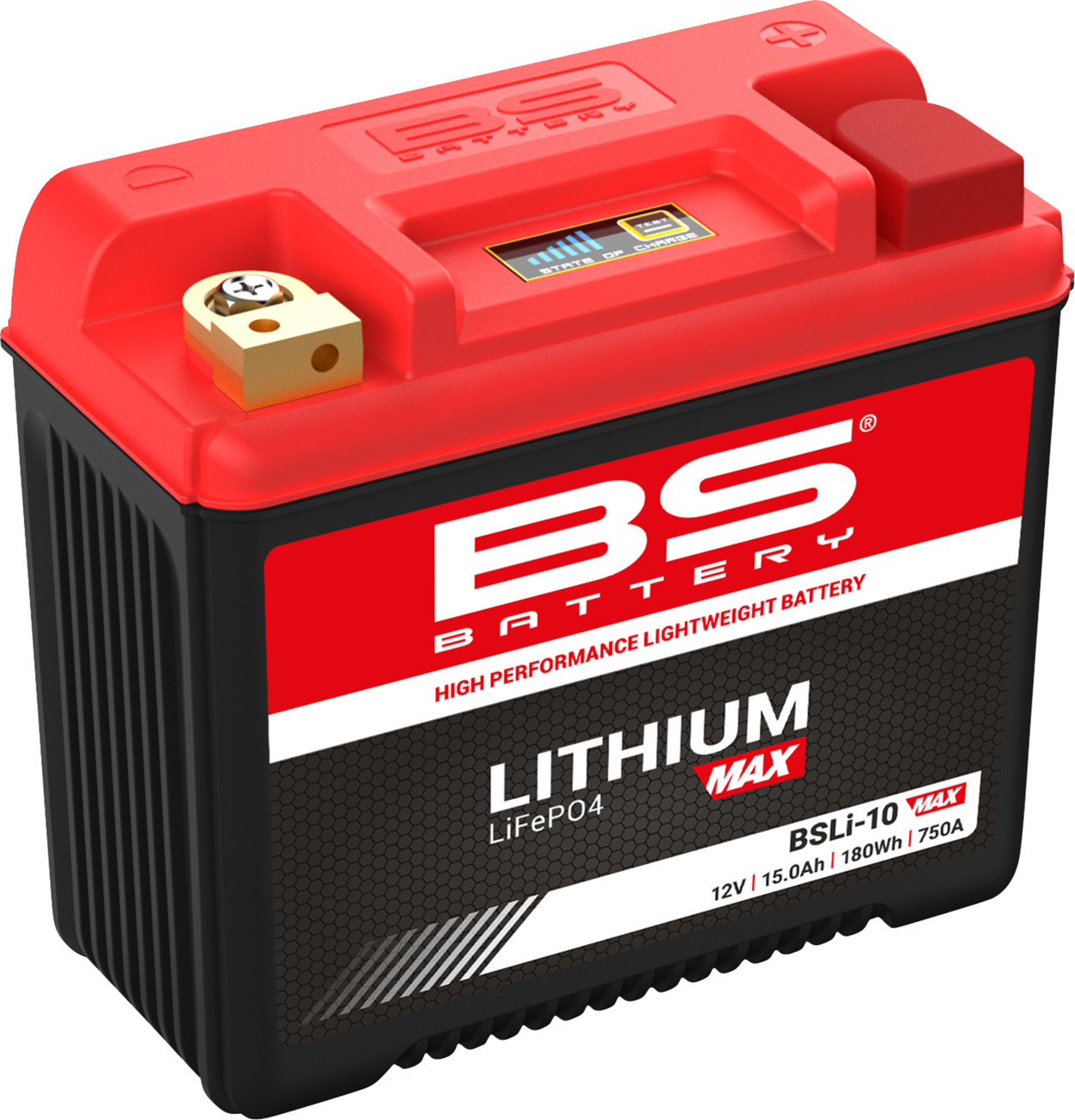 BS BATTERY Lithium Max LiFePO4 Battery