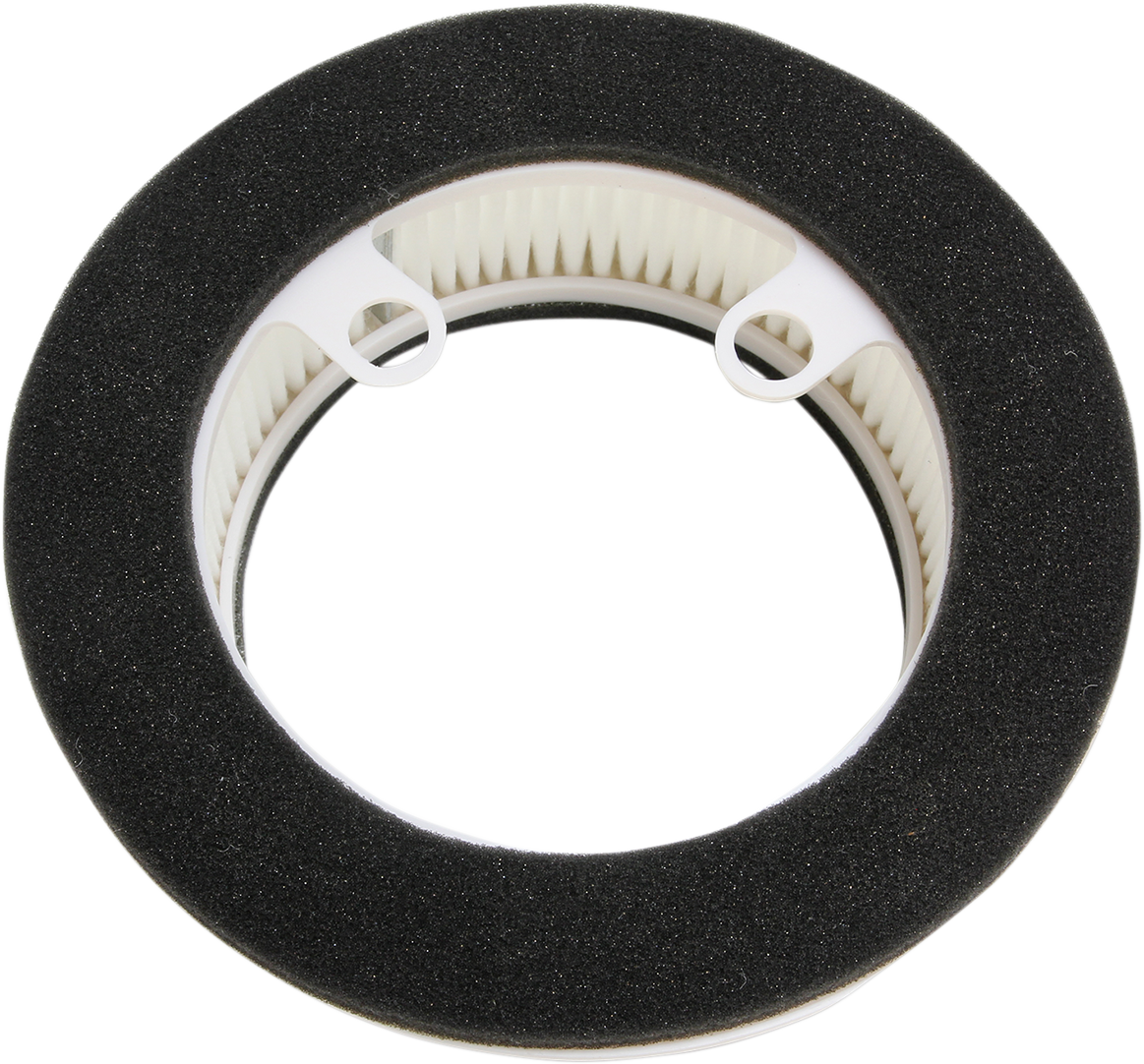 HIFLOFILTRO Scooter Air Filter