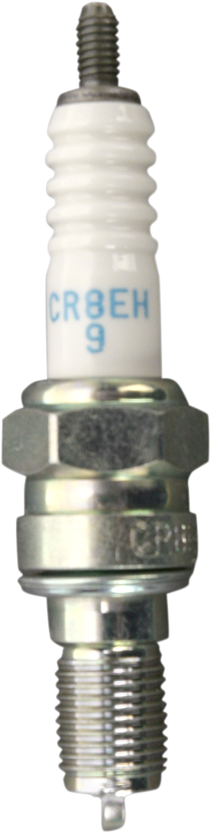 NGK SPARK PLUGS Spark Plug