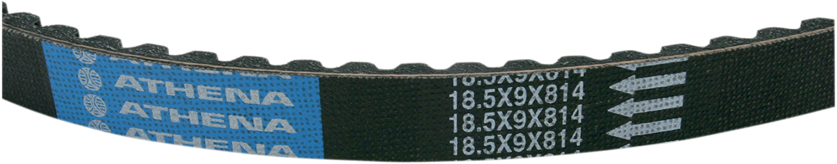Scooter Transmission Belt