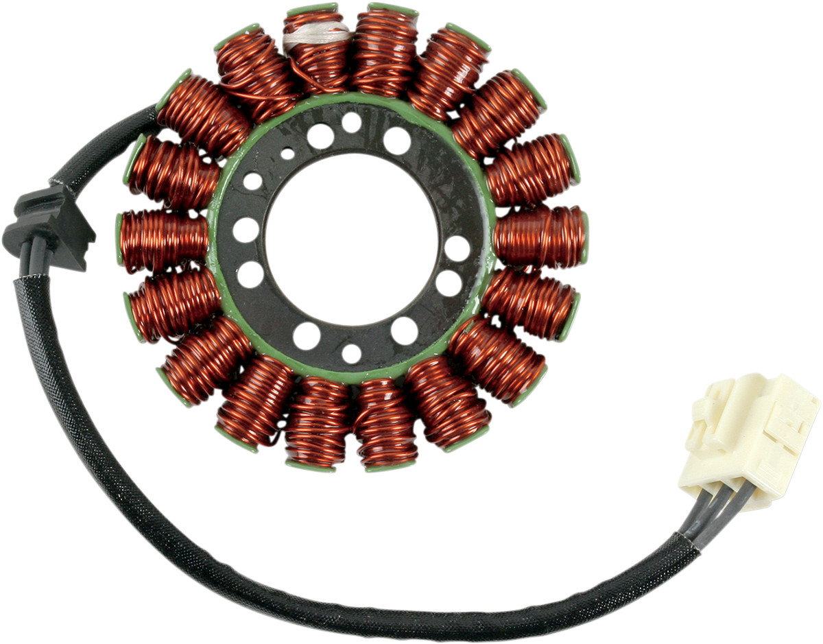 RICK'S MOTORSPORT ELECTRIC Stator