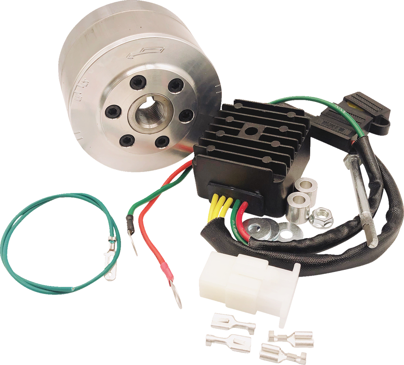 RICK'S MOTORSPORT ELECTRIC Lithium-Ion Charging Kit