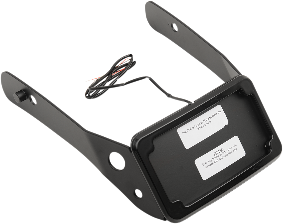 Curved License Plate Frame and Mount with License Plate Light