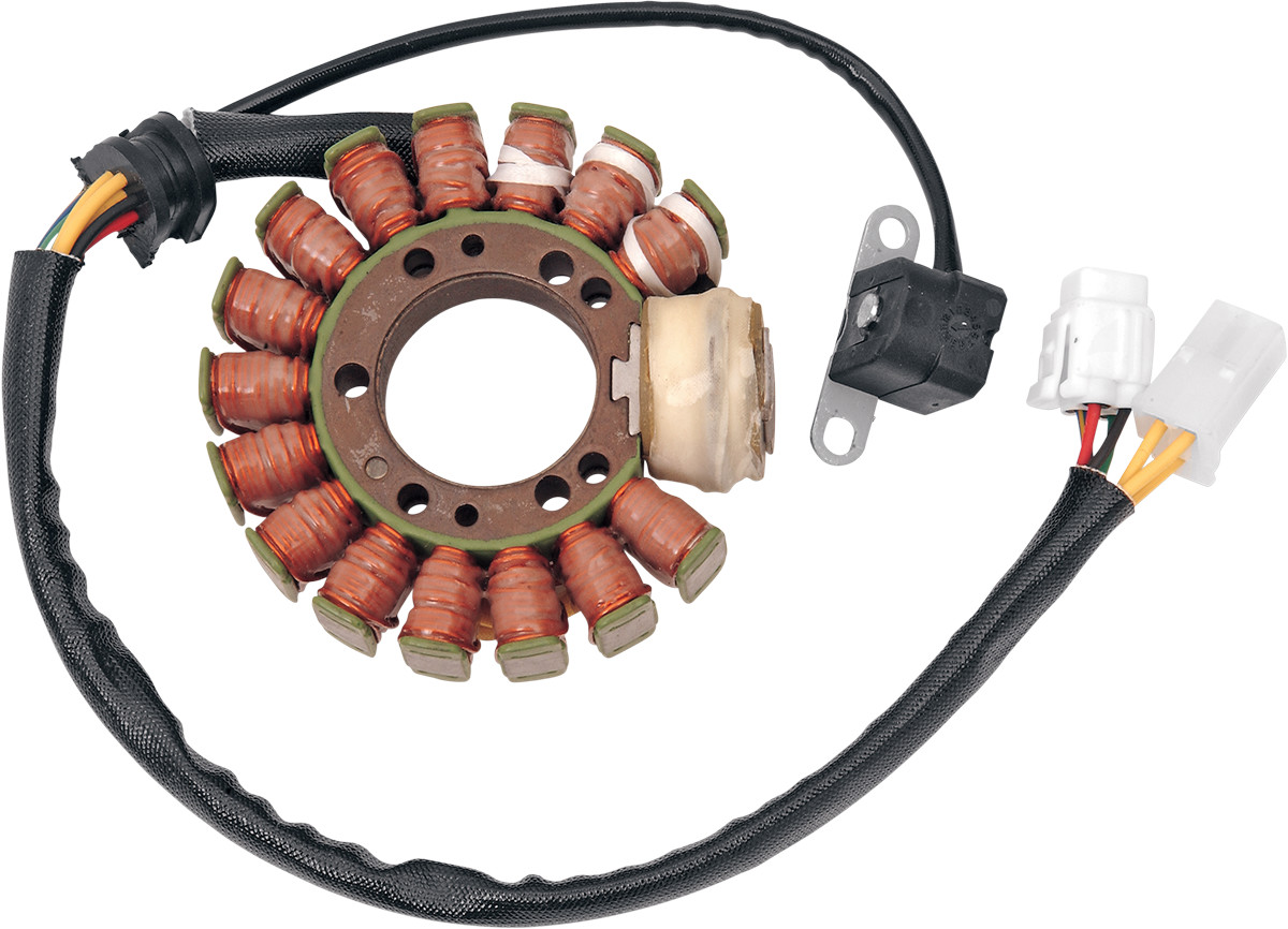 RICK'S MOTORSPORT ELECTRIC Stator
