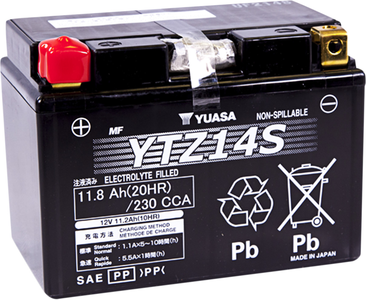 High Performance AGM Maintenance-Free Battery