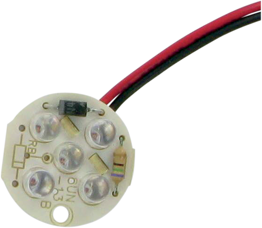 Small Globe Bulb