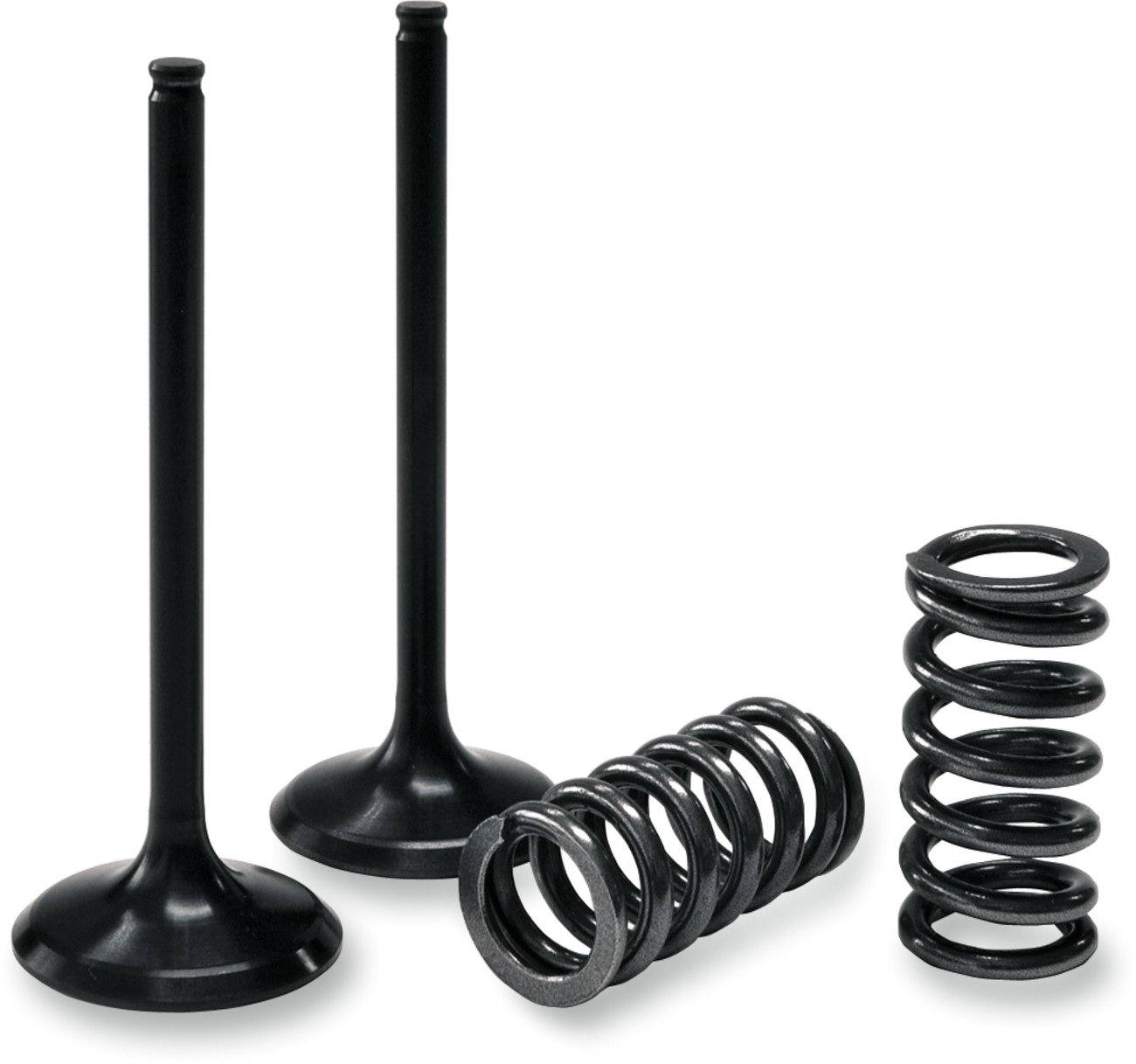 Prox Valve and Spring Kit - Intake - Husqvarna | KTM