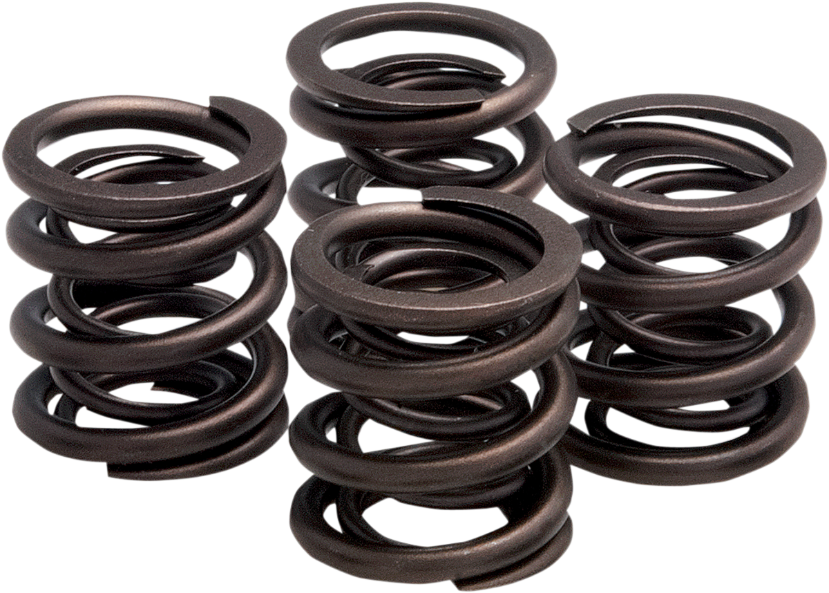 Valve Spring Kit