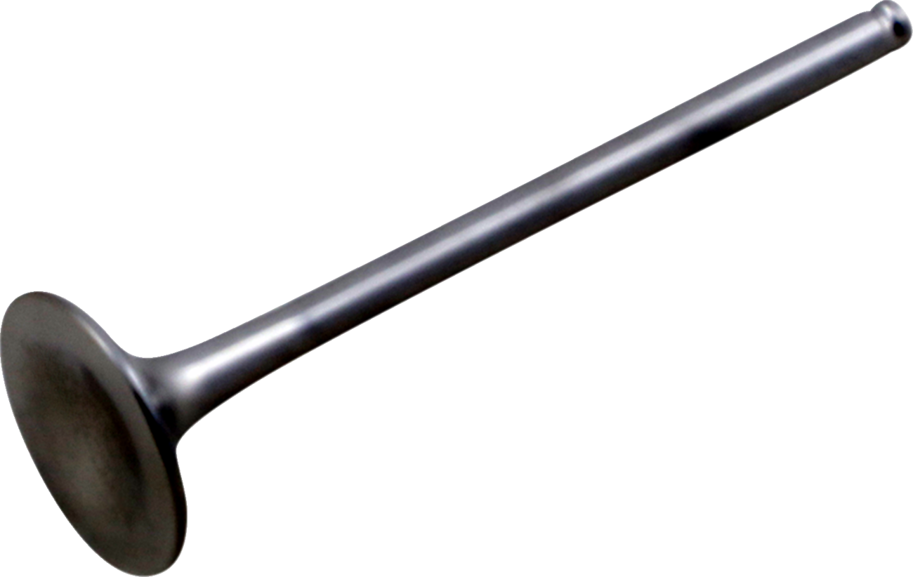 Exhaust Valve